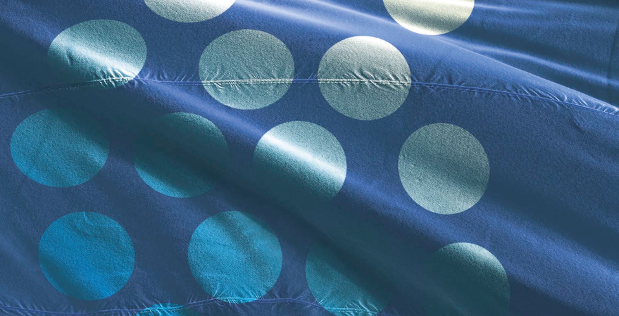 Svensk Innebandy Vill