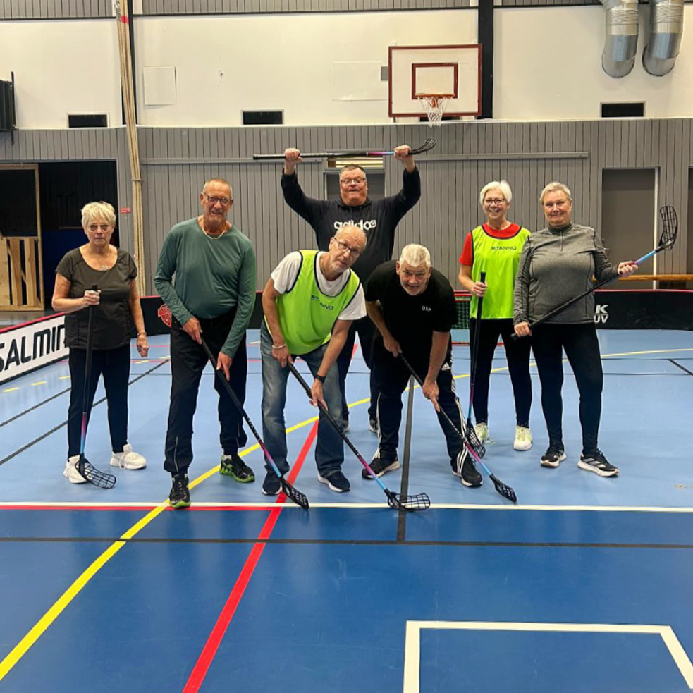 Innebandy65 Bjuv
