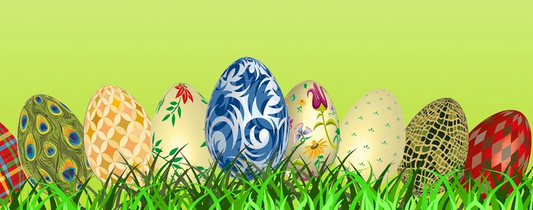 Bild 2024 03 26 134929006