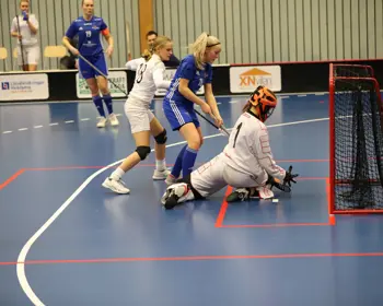 Damer Div 1