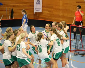 Småland Blekinge F06