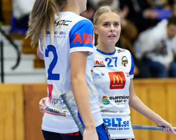 Foto Stefan J Sundstam 1 Kopiera