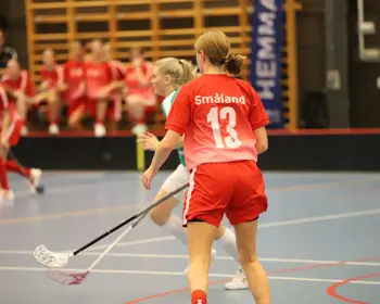 Smalandslaget 2021 F