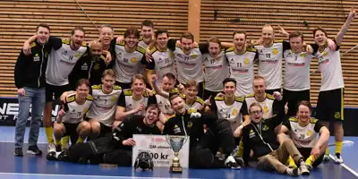 Skärmbild 2024 02 16 113151