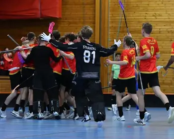 Uppland P16