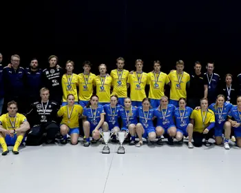 3V3herrdam