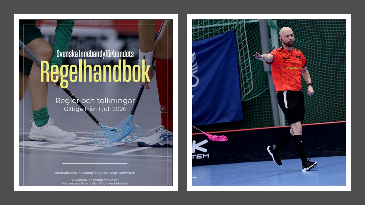 Domarhandboken 2026