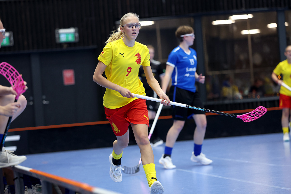 DSM Hjohannsson Skanef16