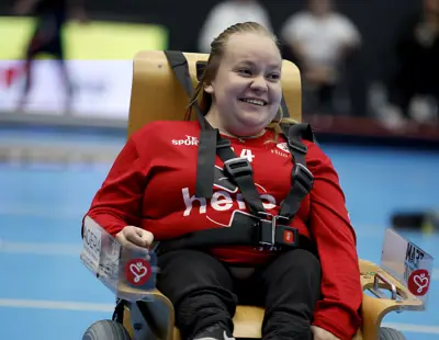 Elinnebandybefintliga