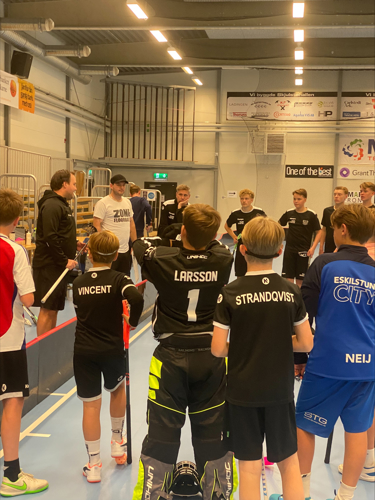 Spelarutveckling Mesta IBK 20251022