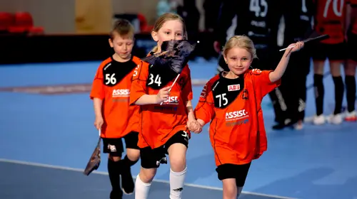 Rönnbytigersbarn