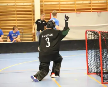 Malvakt Karlsson
