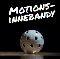 Motionsinnebandy