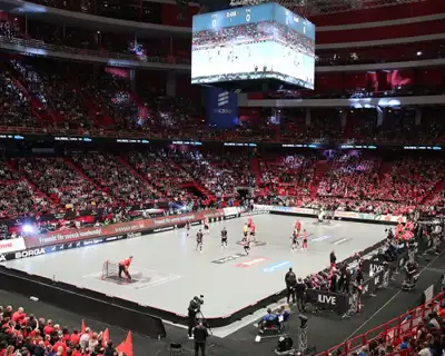 Sm Final2018 arenabild match