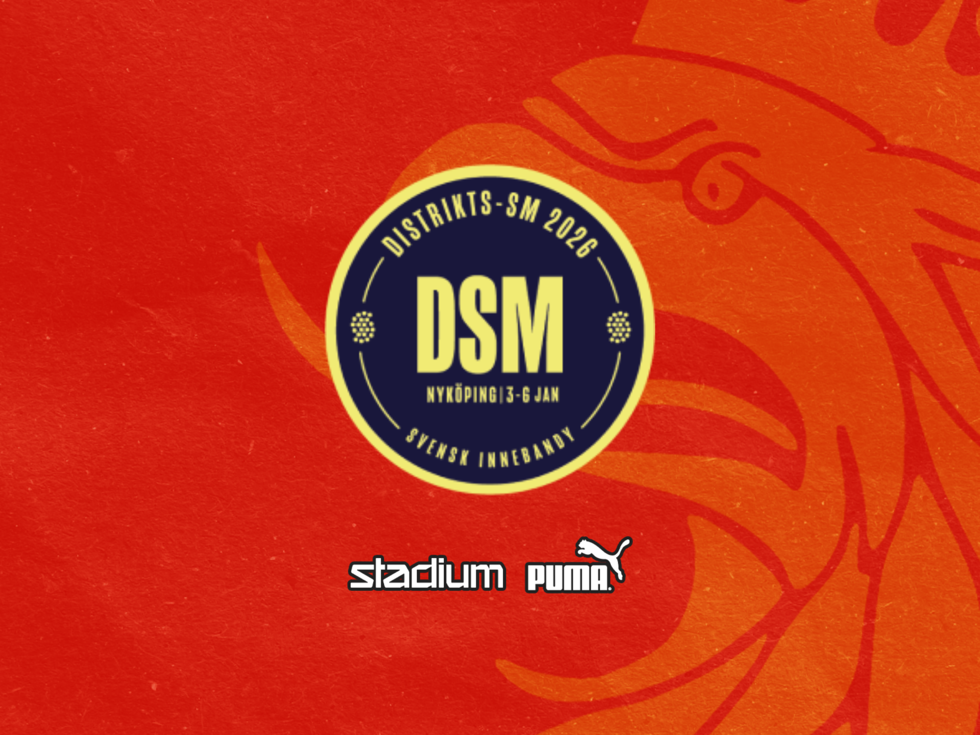 DSM-logga