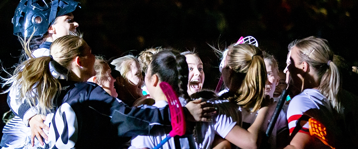 Hammarby Baest I Stan