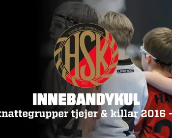 Knattegrupper Innebandy