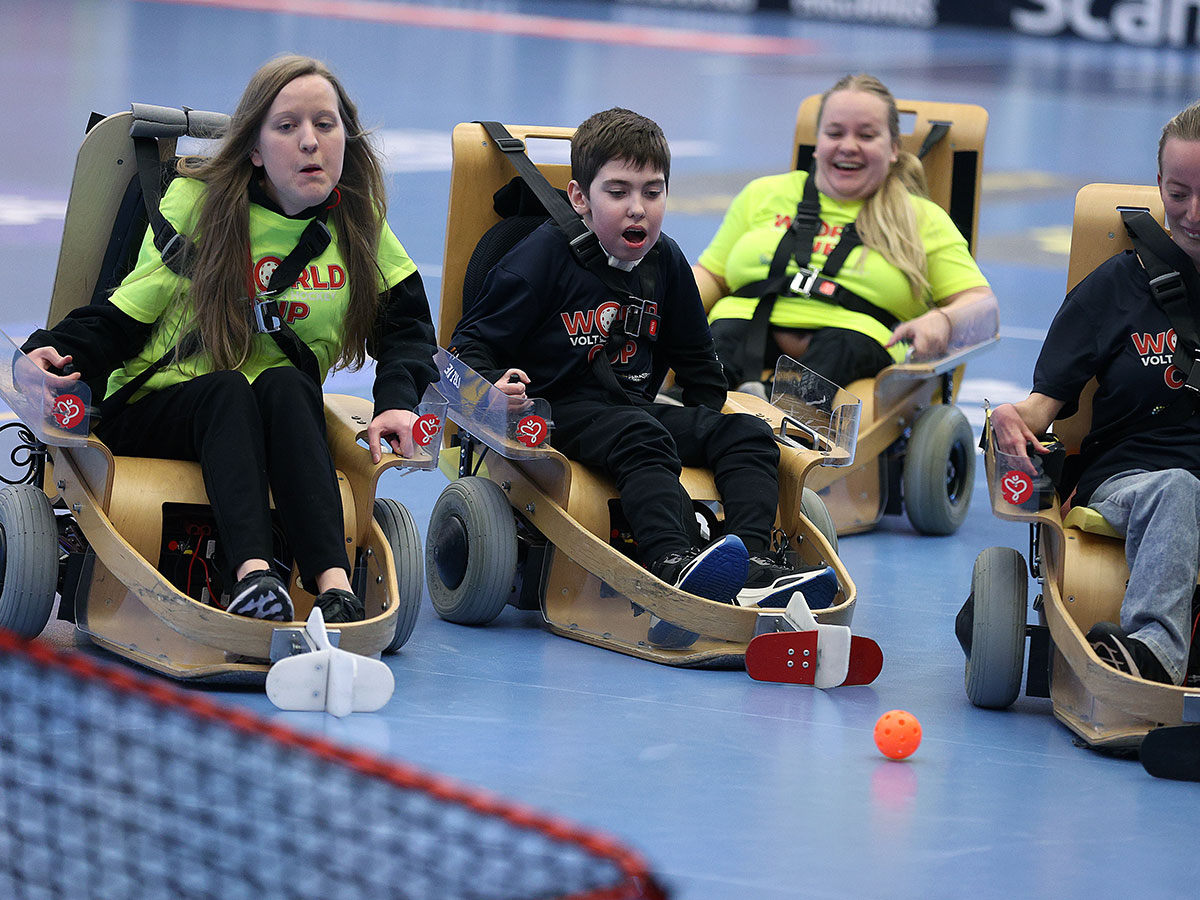 Parainnebandy Elinnebandy