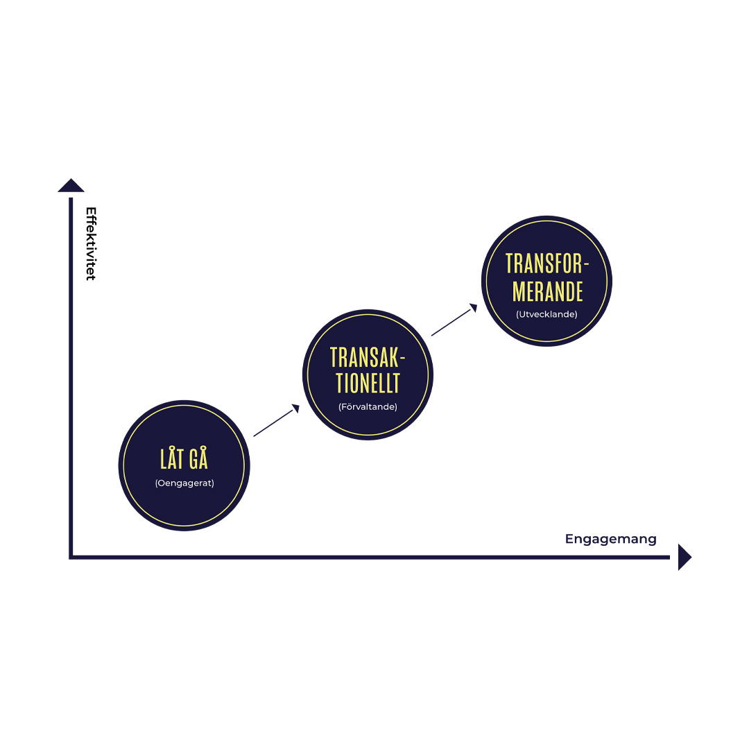 Full Range Leadership Model För Vit Bakgrund Minskad