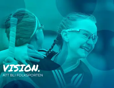 1 VISION SVENSK INNEBANDY VILL