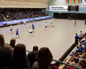 Bakgrund Gammlia VIBF2