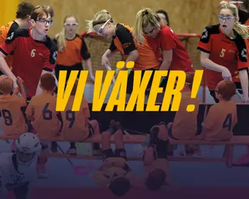 Vi Växer Hemsida 1