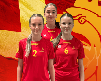 Header Skanef16 2025