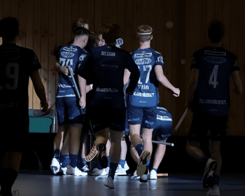 Munka Ljungby IBK Herr 2023:24