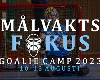 Logo Målvaktsfokus