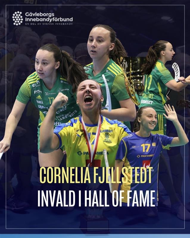 477D038e Cc0b 419E 9192 4378C66a5efc