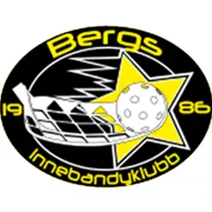 Bergs IK