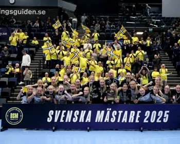 Smguldvastsvenskaf16