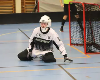 Målvakt Vimmerby