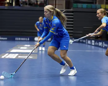 Majavieft