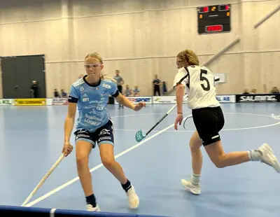 Lillavm2022matchbild2